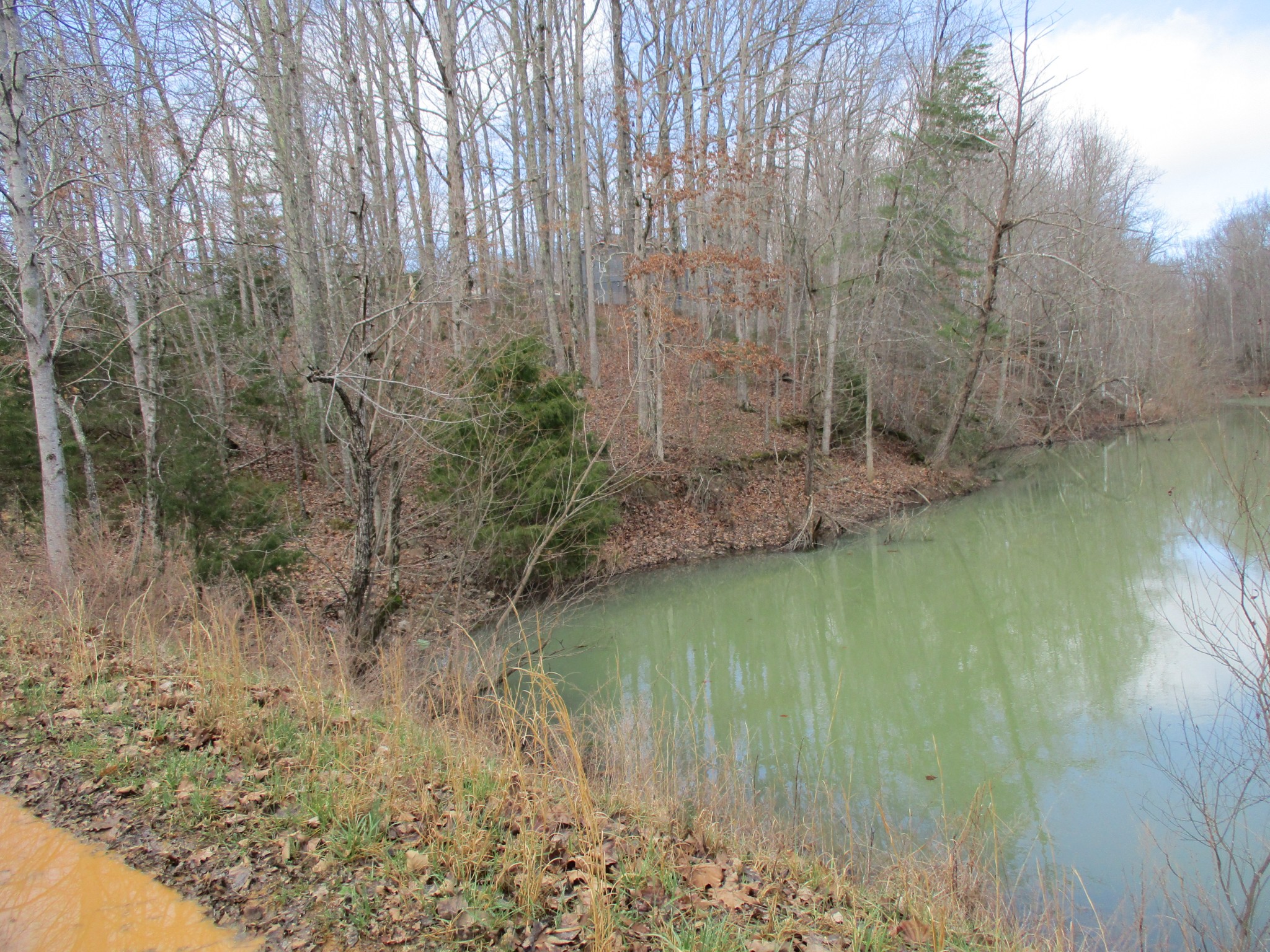 0 Split Lake Road Nunnelly, TN 37137 - Photo 7 of 8 a view of a lake view