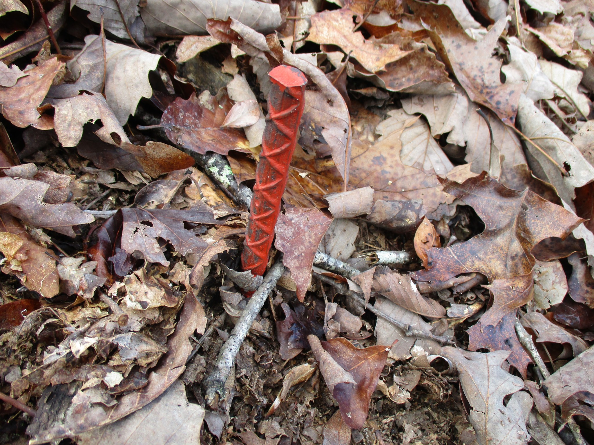 0 Split Lake Road Nunnelly, TN 37137 - Photo 8 of 8 an aerial view of residential houses with outdoor space