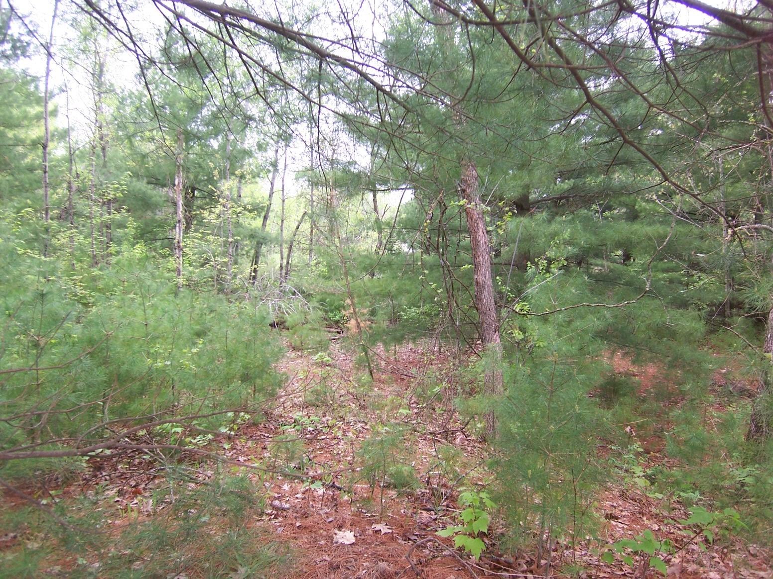 County Road South Sobieski, WI 54171 - Photo 13 of 15