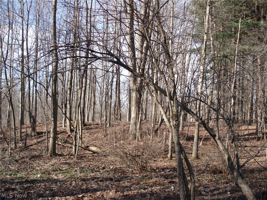 3000 Tower Road Dorset, OH 44032 - Photo 30 of 34 Gallery Image 30
