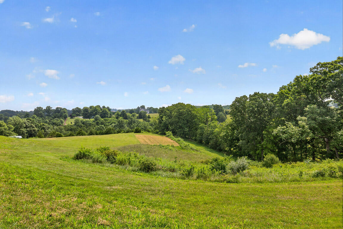 13934 Peach Grove Road California, KY 41007 - Photo 23 of 25 Ext7
