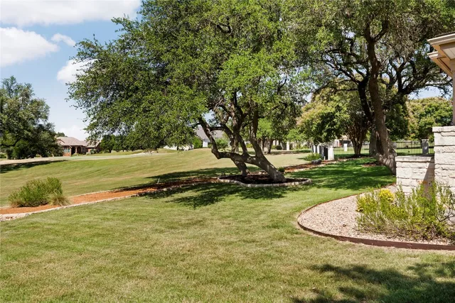 a view of a park with large trees