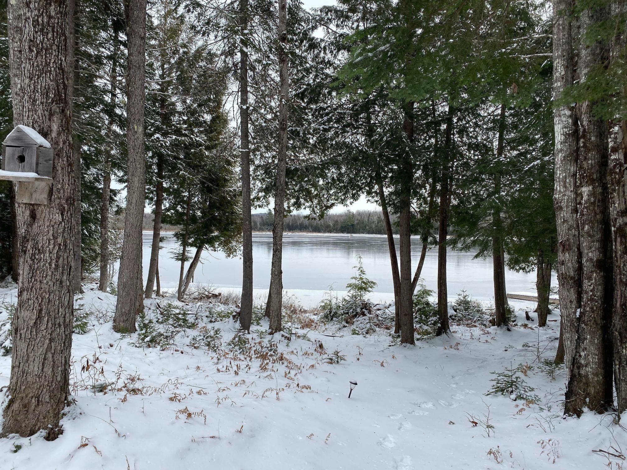 Tbd Hayes Road Parkman, ME 04443 - Photo 24 of 38 IMG_4031