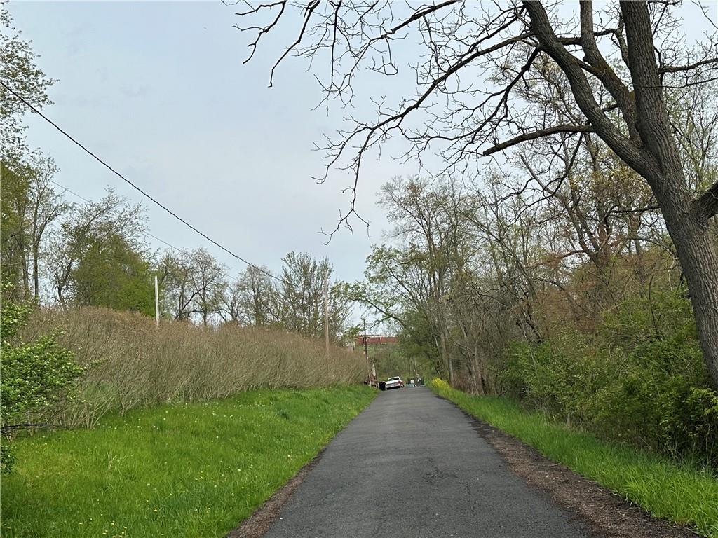 45 Colony Road Burgettstown, PA 15021 - Photo 2 of 4 a view of a yard with a tree