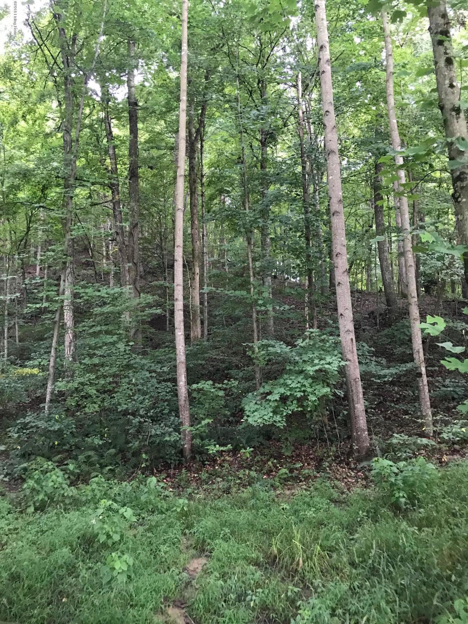 15713 Bearcamp Road Louisville, KY 40272 - Photo 10 of 12 10