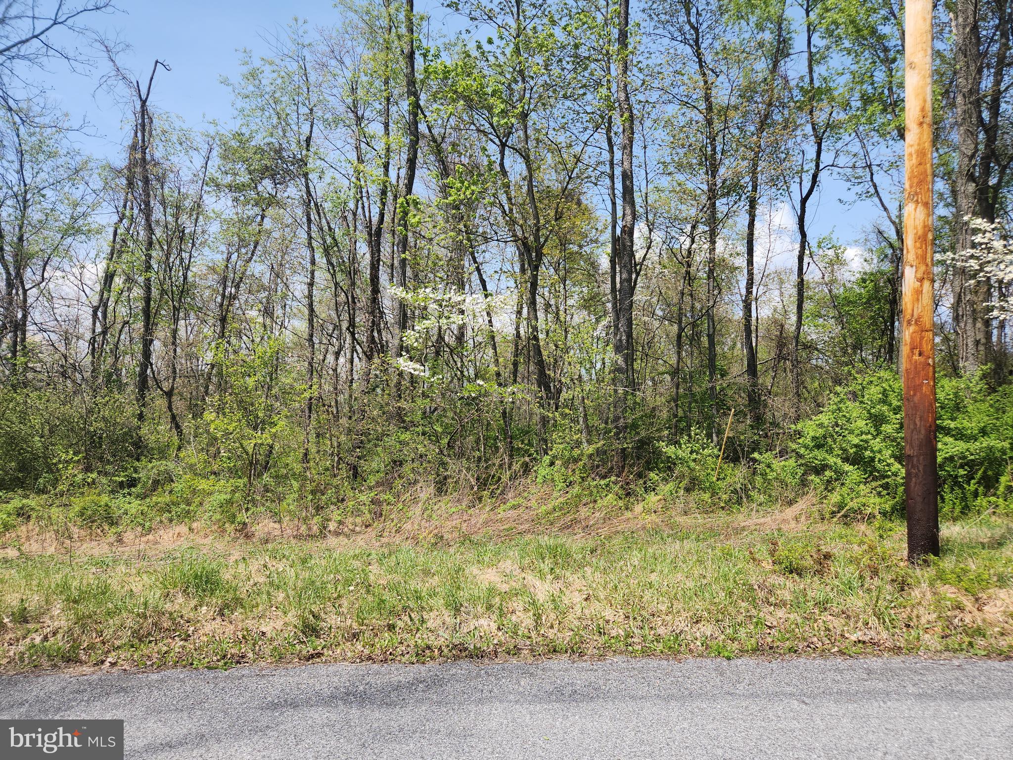 Lot 5 Fickes Road Imler, PA 16655 - Photo 5 of 10