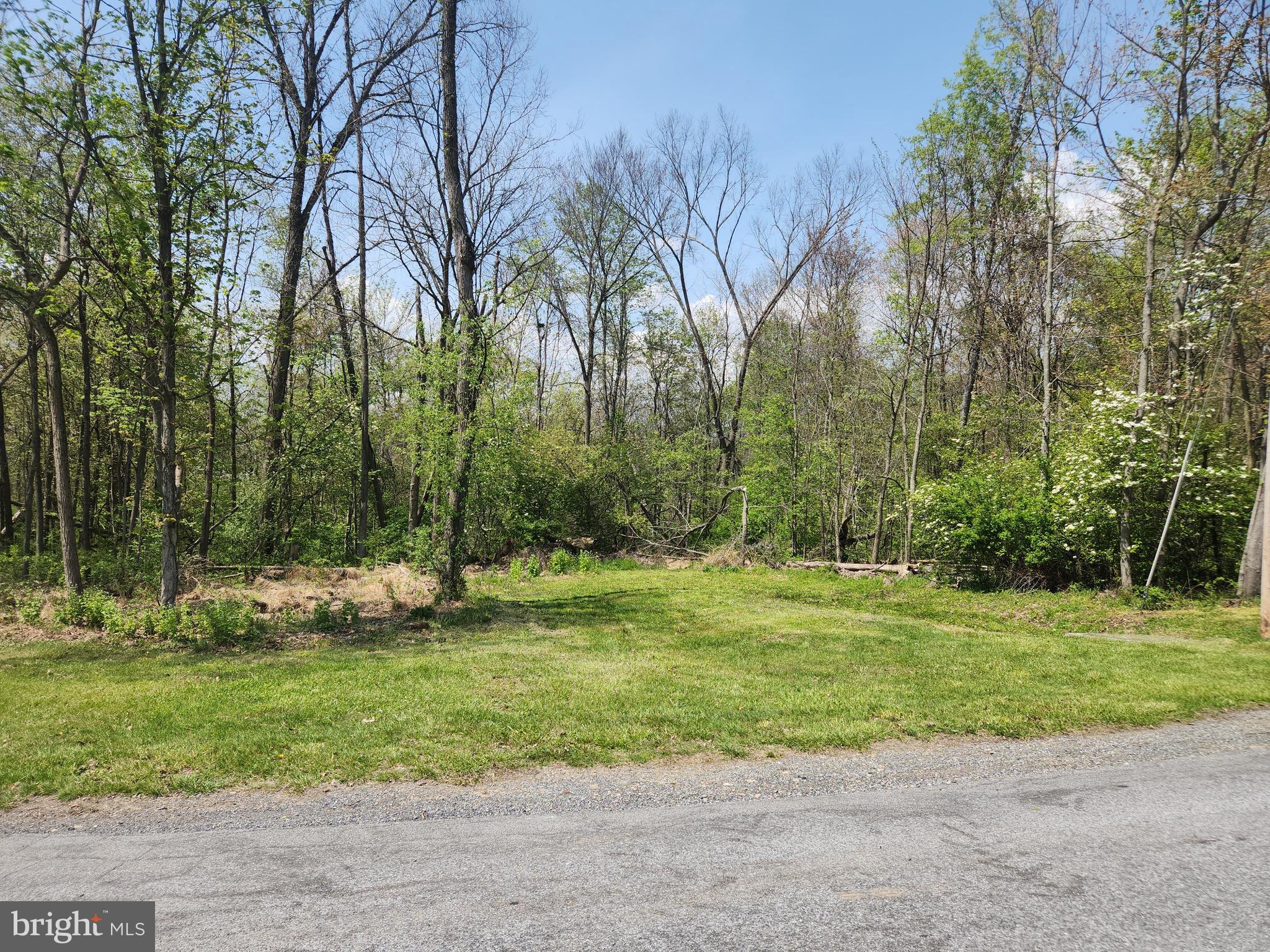 Lot 5 Fickes Road Imler, PA 16655 - Photo 6 of 10