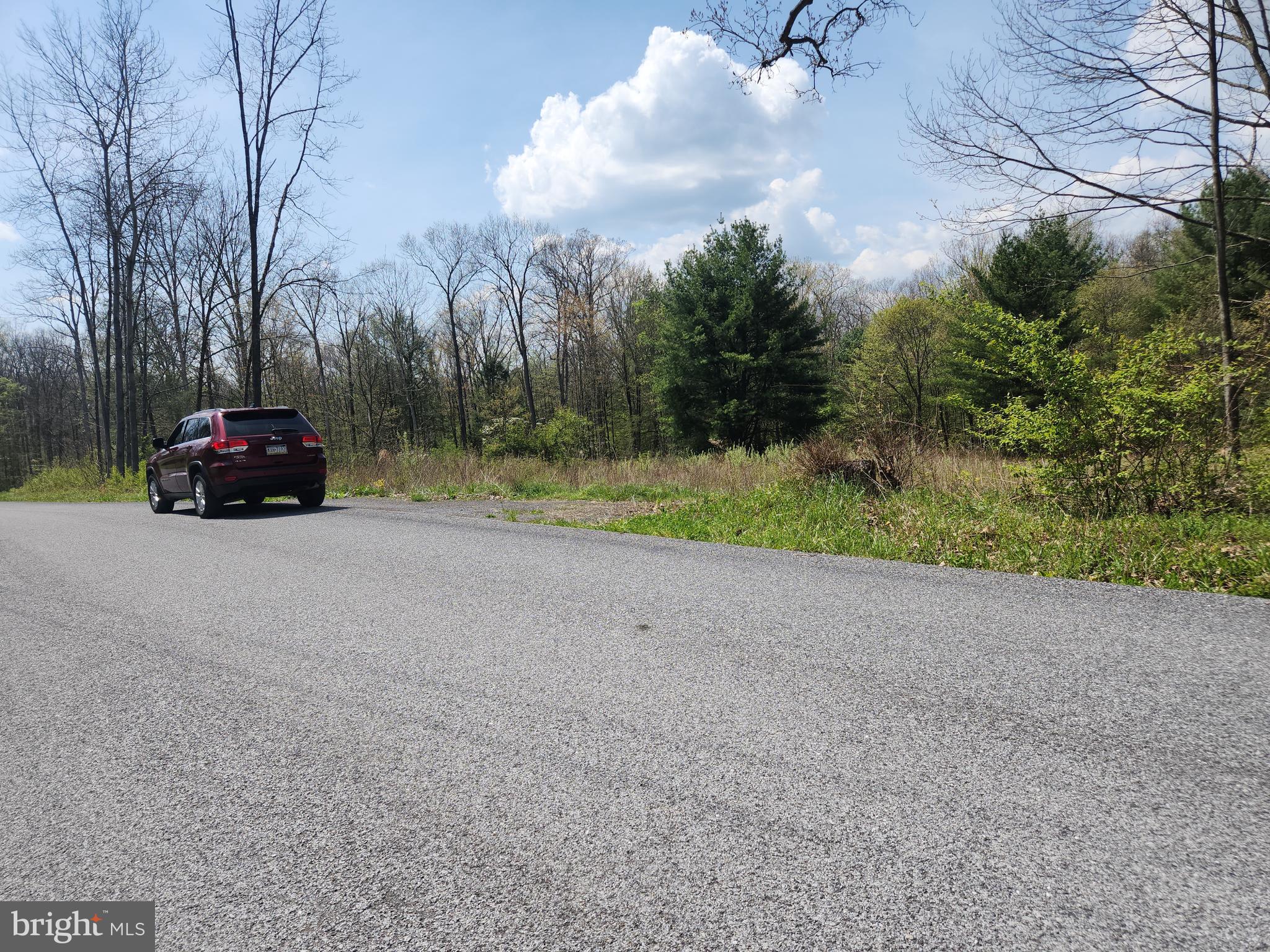 Lot 5 Fickes Road Imler, PA 16655 - Photo 9 of 10