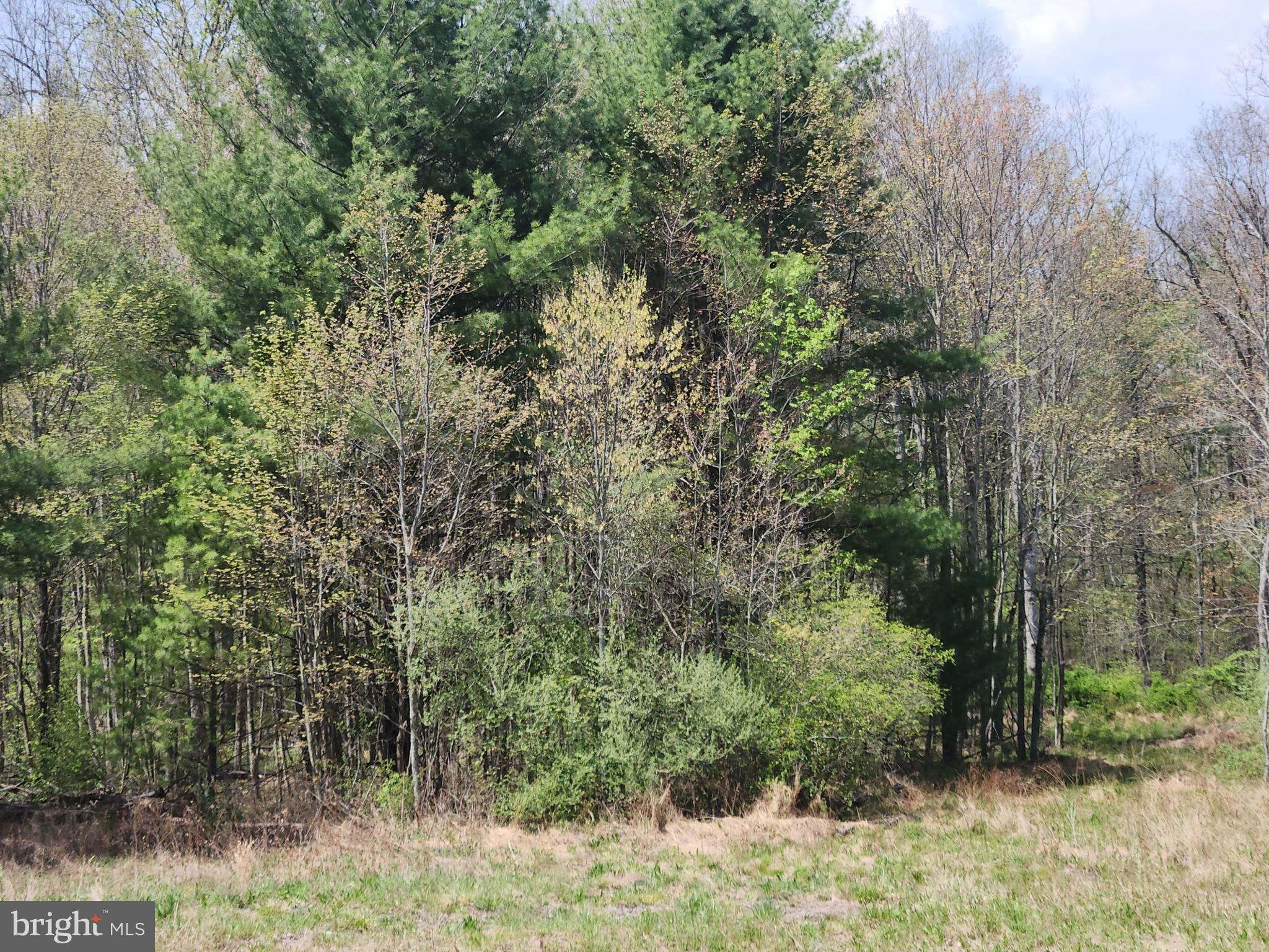 Lot 5 Fickes Road Imler, PA 16655 - Photo 10 of 10