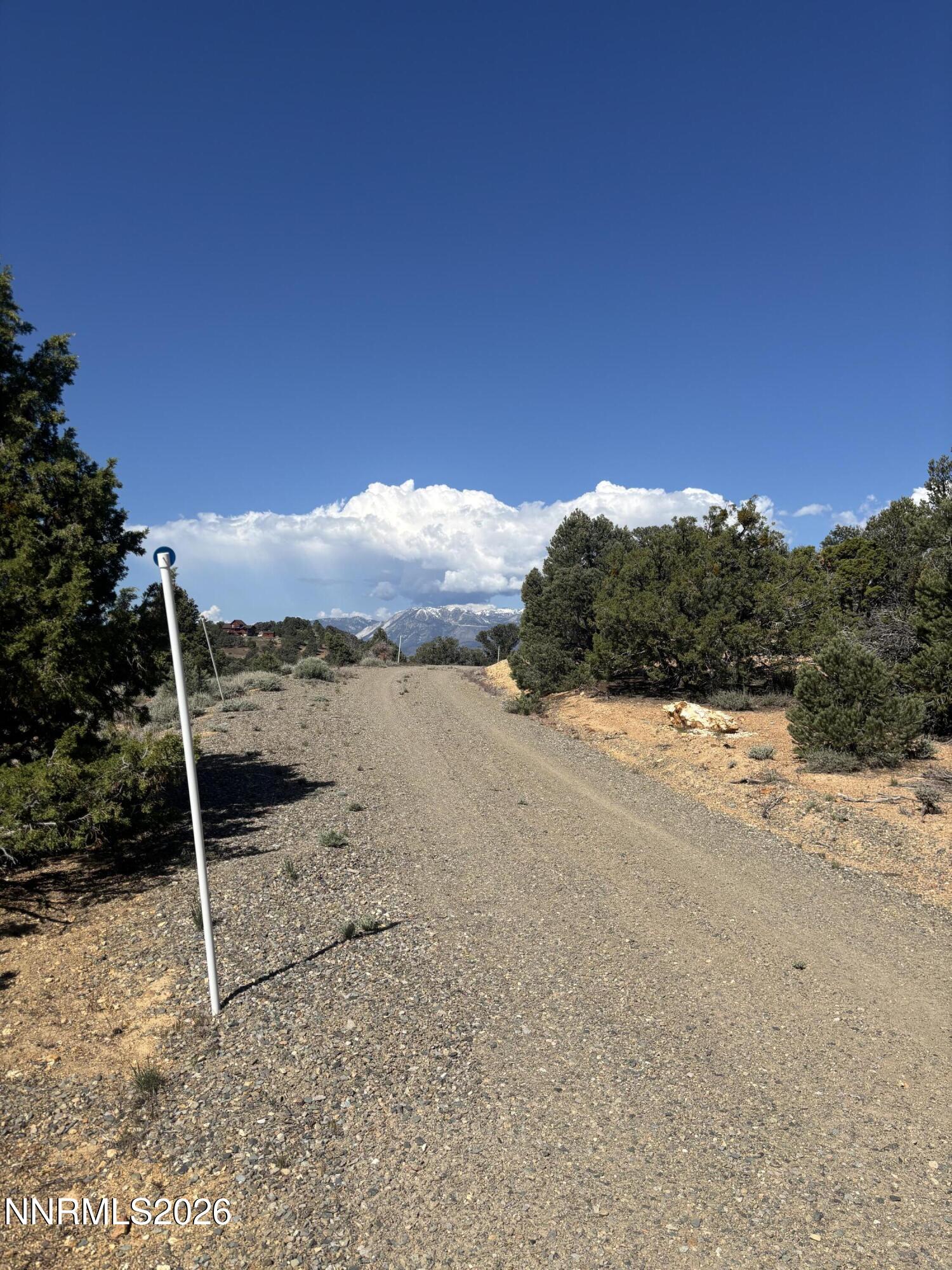 470 Crestview Road Reno, NV 89521 - Photo 15 of 19 a view of a dry yard with trees
