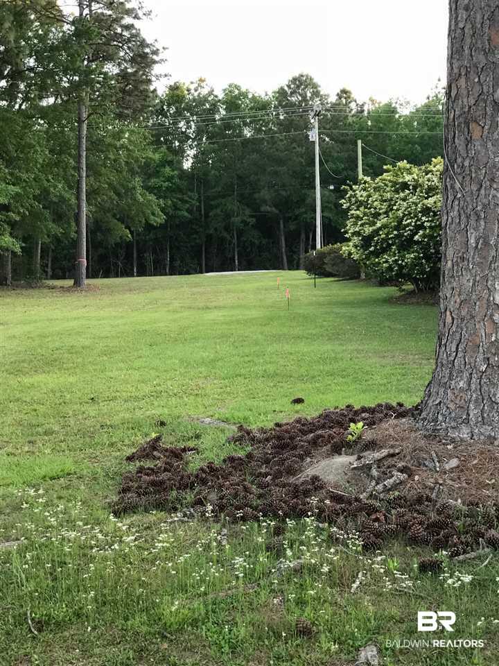 Lot 60 Clarke Ridge Road Foley, AL 36535 - Photo 8 of 12