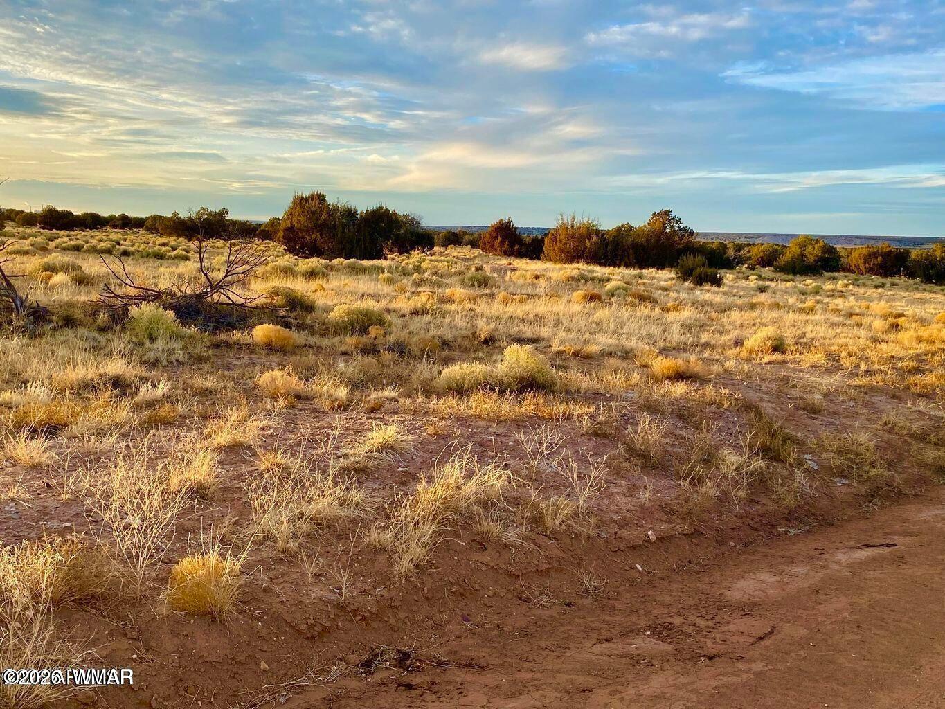 St-johns Az 85936 Ranch St. Johns, AZ 85936 - Photo 19 of 20
