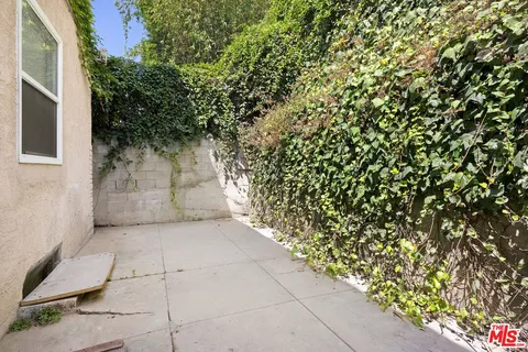 a view of a yard with plants