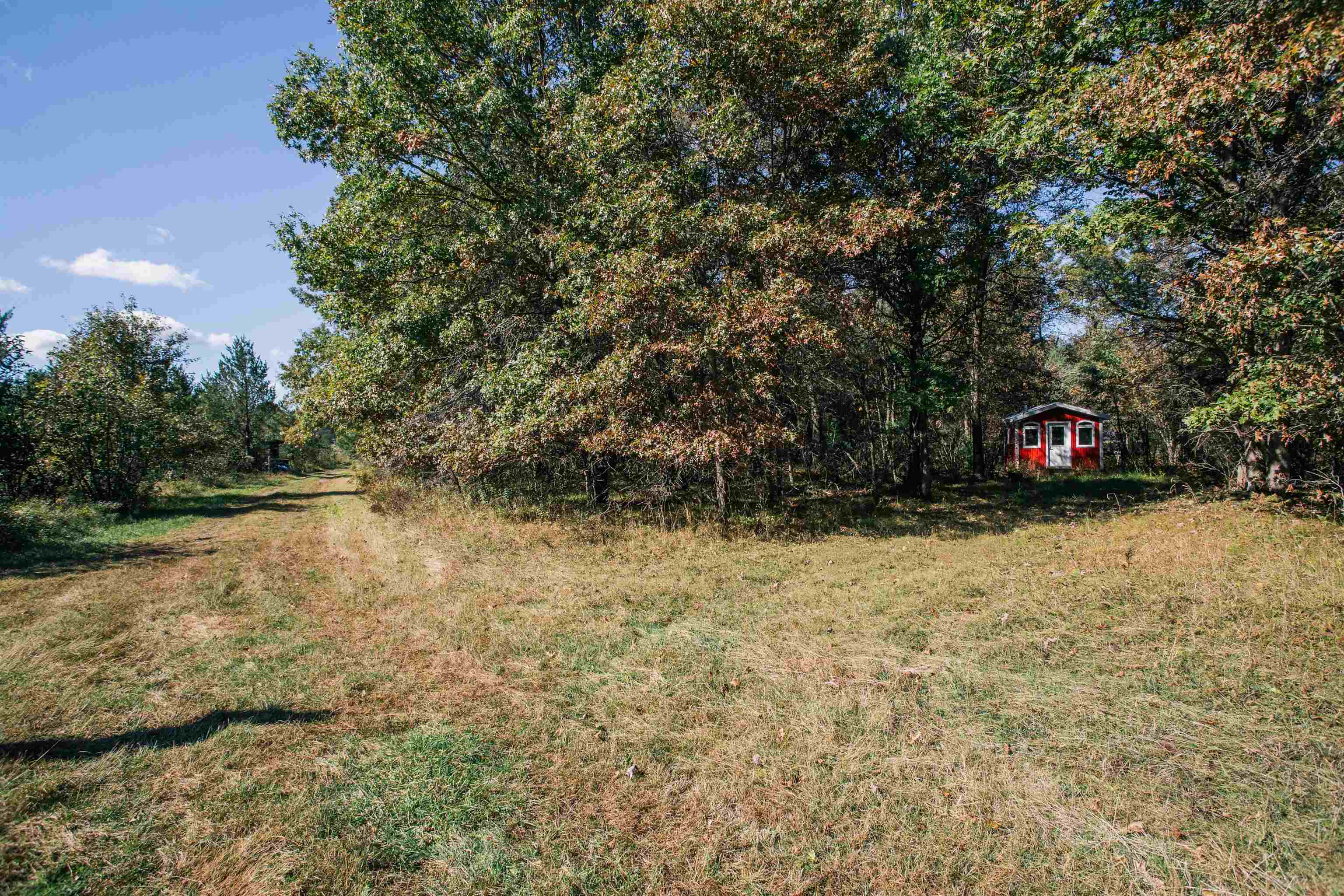 81-acres Anderson Road Neillsville, WI 54456 - Photo 2 of 38