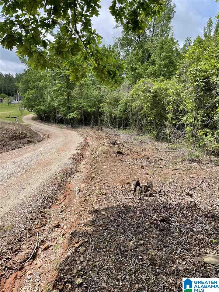 Mountain Road, Unit 16 Daviston, AL 36256 - Photo 3 of 7