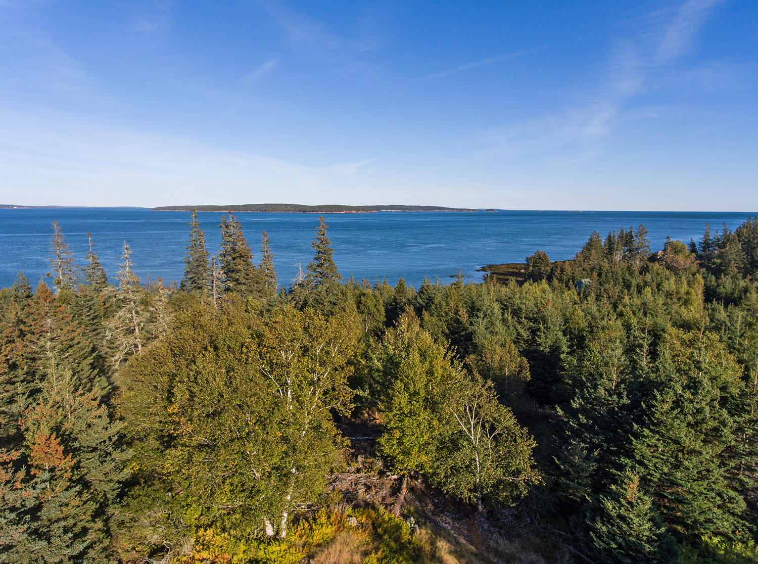 0 Rose Hill Road Swans Island, ME 04685 - Photo 6 of 19 Rose Hill-0039
