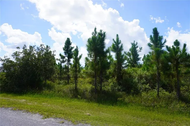 a view of a green yard