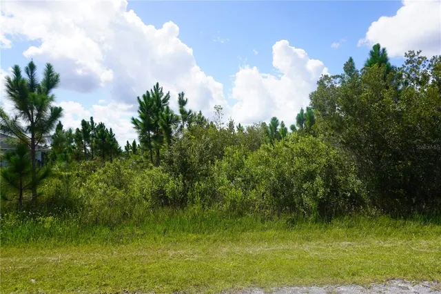 a view of a lake with a yard