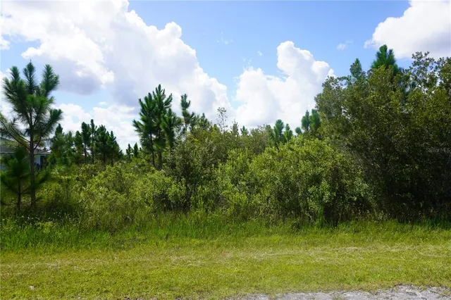 a view of a lake with a yard