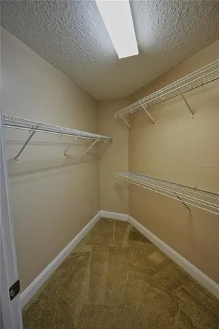 a bathroom with a shower and a glass door