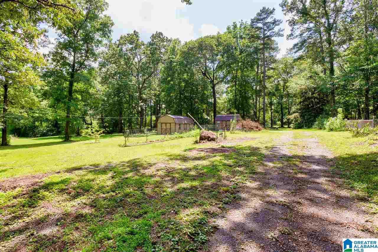 5486 Powers Road Mount Olive, AL 35117 - Photo 9 of 47