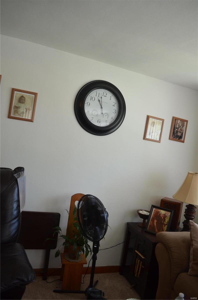 921923 Chain Of Rocks Drive St. Louis, MO 63137 - Photo 35 of 47 Gallery Image 35