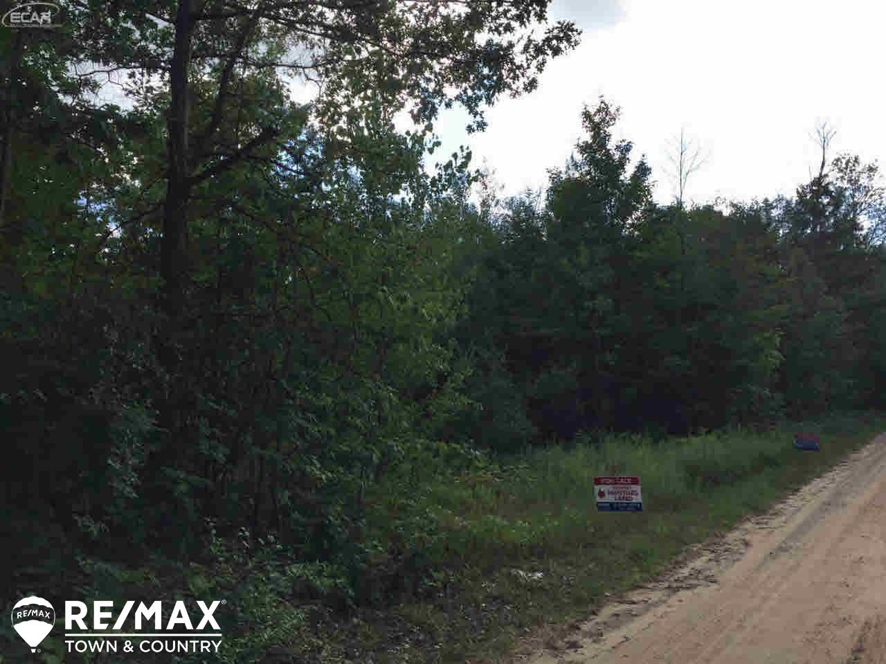 0 Stockwell Road Harrison, MI 48625 - Photo 4 of 8