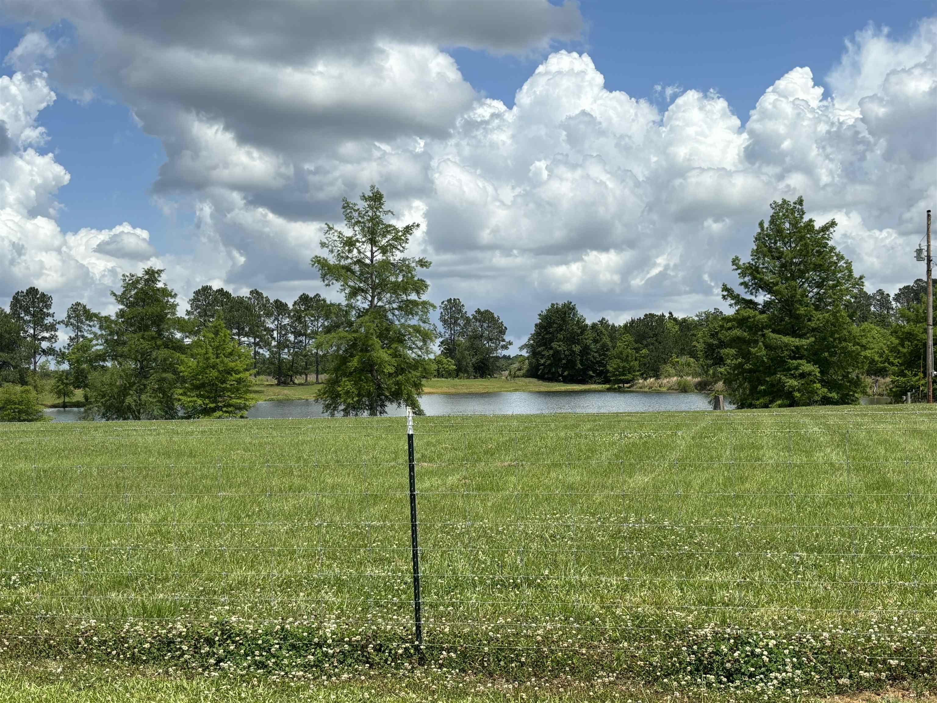 24588 Ponder Loop Loxley, AL 36551 - Photo 33 of 38 Another Lake View
