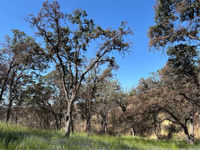 $95,000 | 5358 Mariposa Heights Road, Mariposa, CA 95338