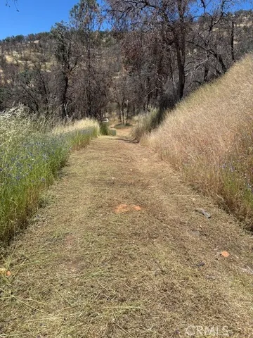 a view of a yard with trees in the background