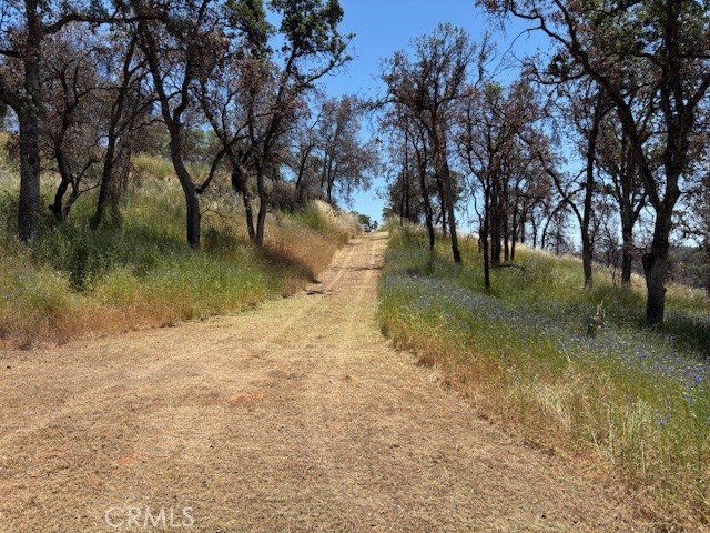 5358 Mariposa Heights Road Mariposa, CA 95338 - Photo 7 of 10 a view of outdoor space with lake view