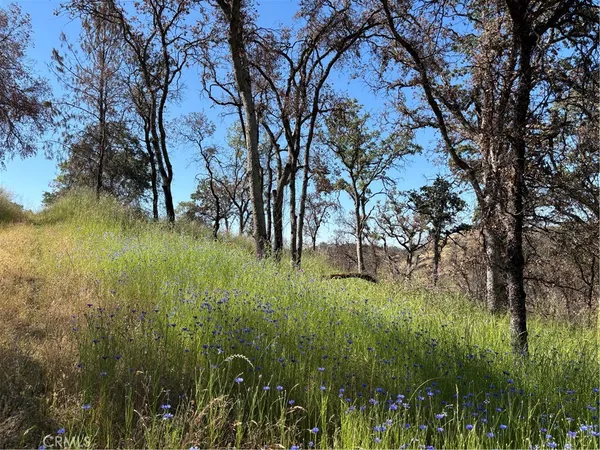 a view of yard with green space