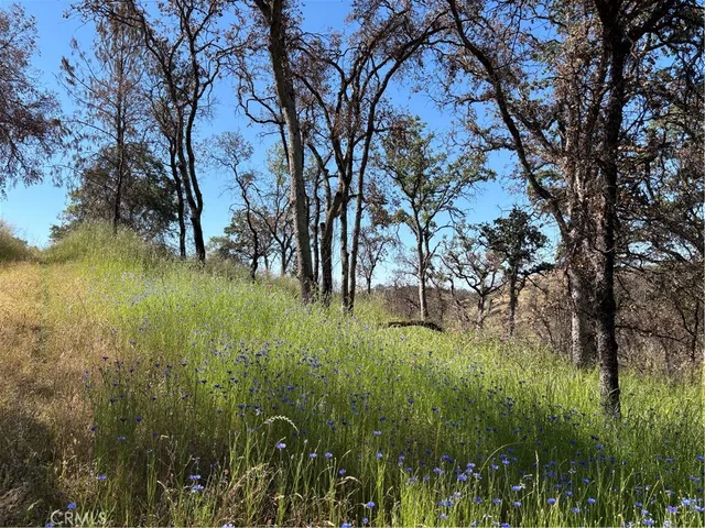 a view of yard with green space