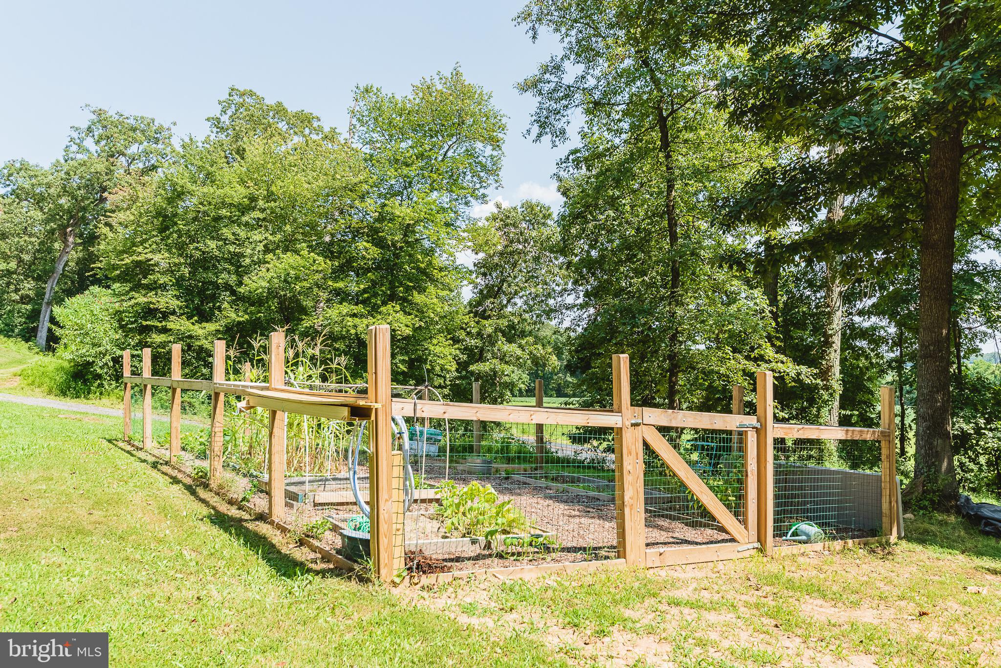 2 Constitution Road Pylesville, MD 21132 - Photo 66 of 77 Garden