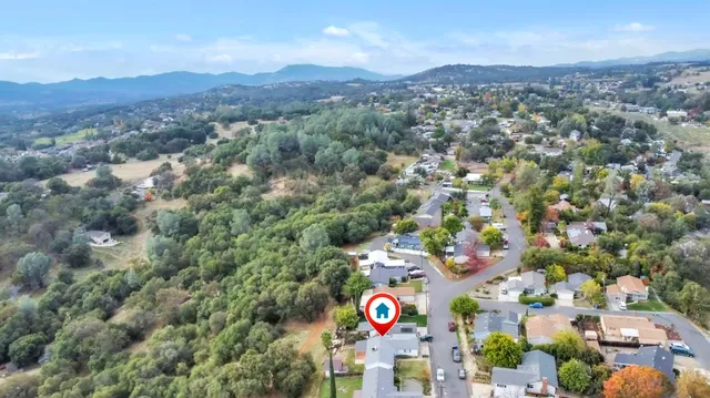 view of city and tree