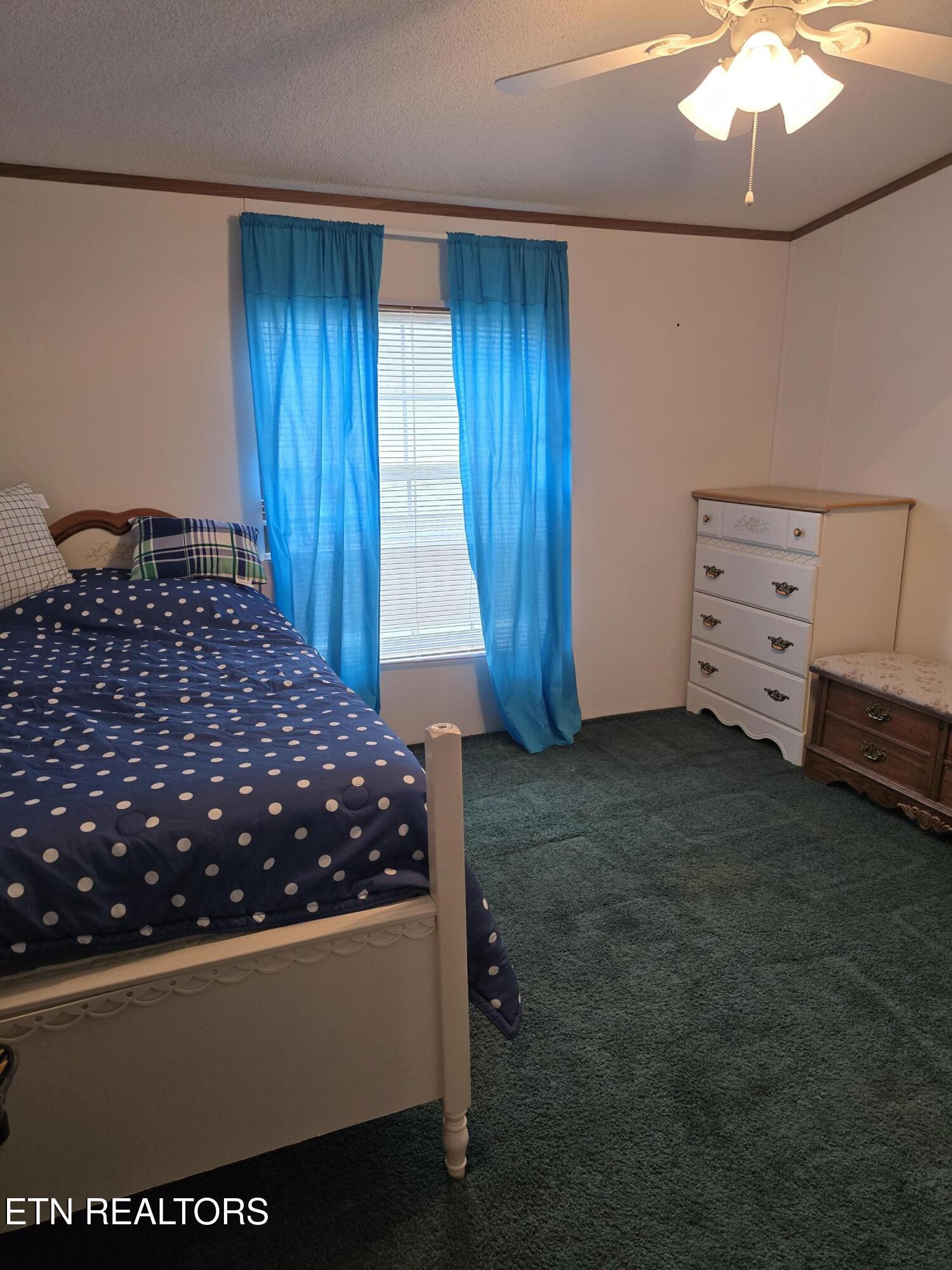 118 Wolf Creek Road Kingston, TN 37763 - Photo 25 of 37 1000017353