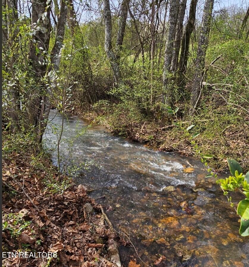 118 Wolf Creek Road Kingston, TN 37763 - Photo 30 of 37 1000017502