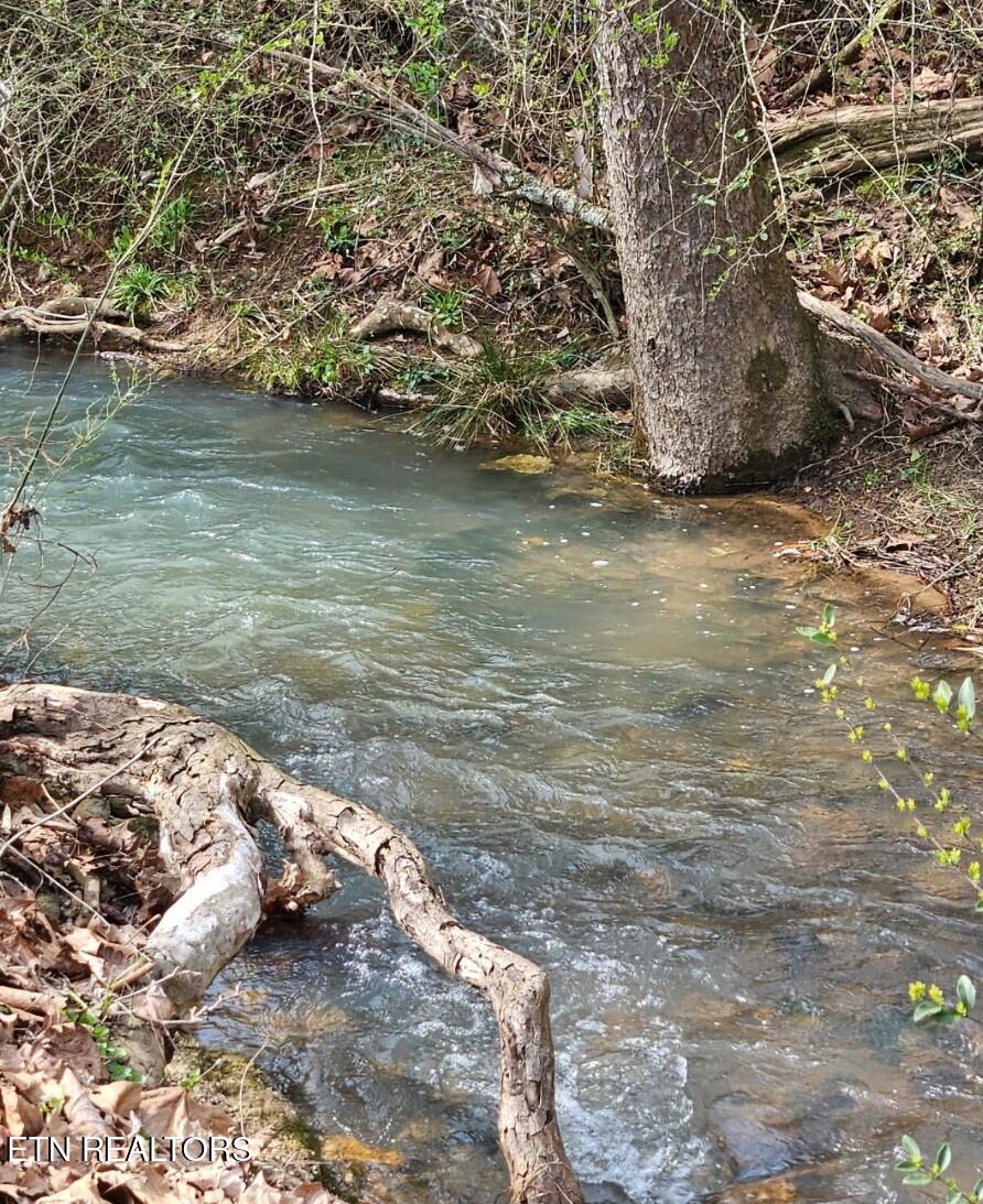 118 Wolf Creek Road Kingston, TN 37763 - Photo 3 of 37 1000017498