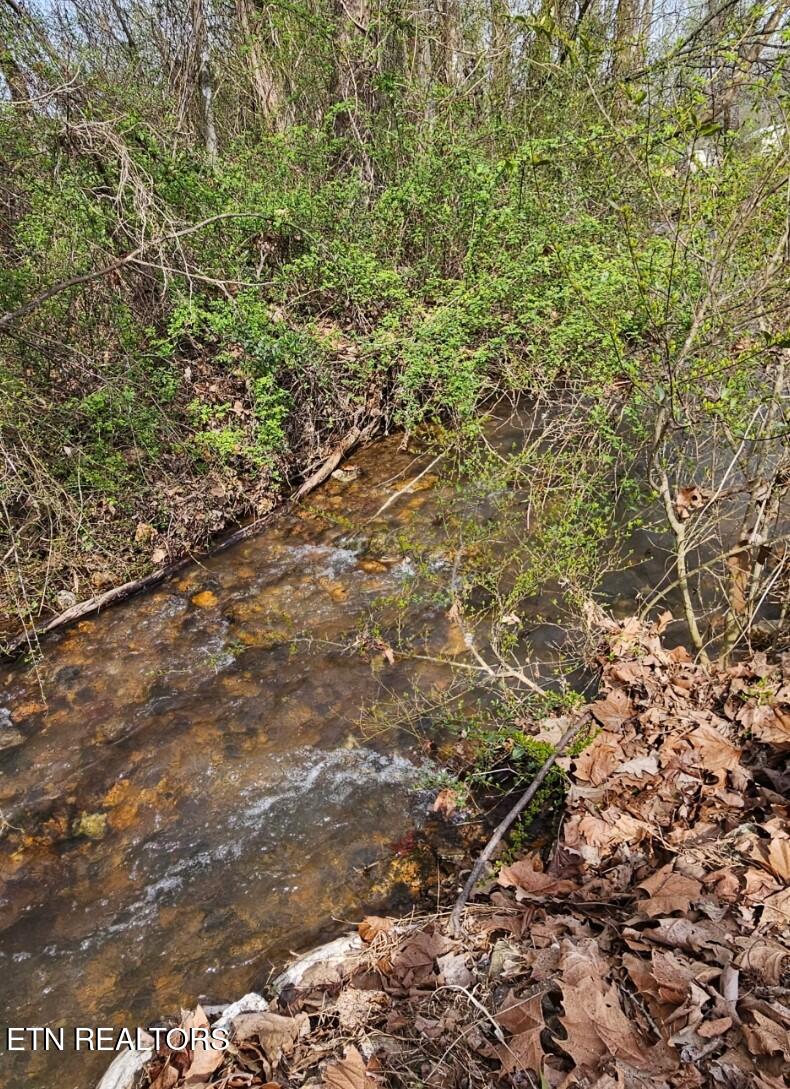 118 Wolf Creek Road Kingston, TN 37763 - Photo 4 of 37 1000017500