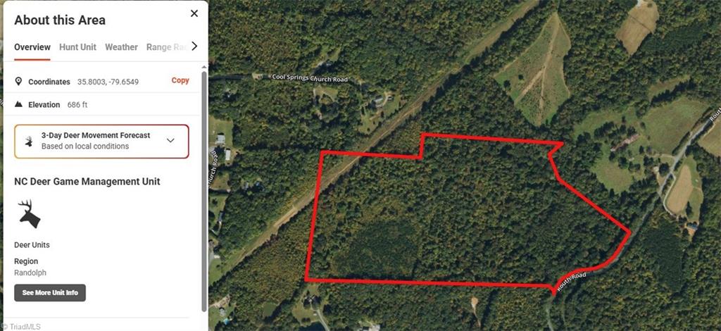 0 Routh Road Franklinville, NC 27248 - Photo 13 of 25 Gallery Image 13
