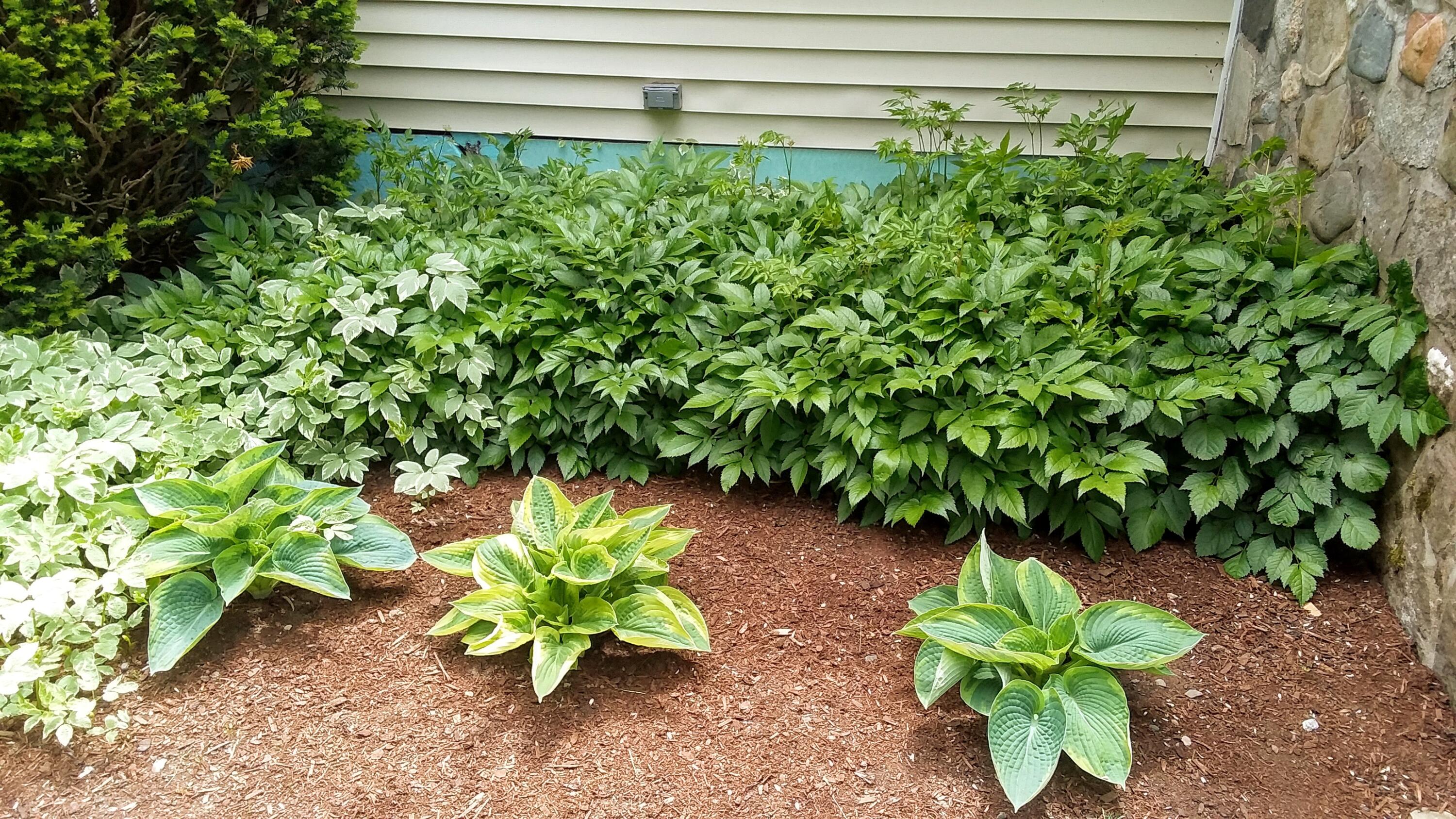 71 Upper-Charleston Road Charleston, ME 04422 - Photo 143 of 187 20210530_123008