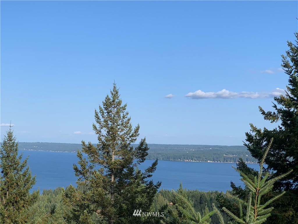 200 Jupiter Loop Brinnon, WA 98320 - Photo 2 of 21 Gallery Image 2