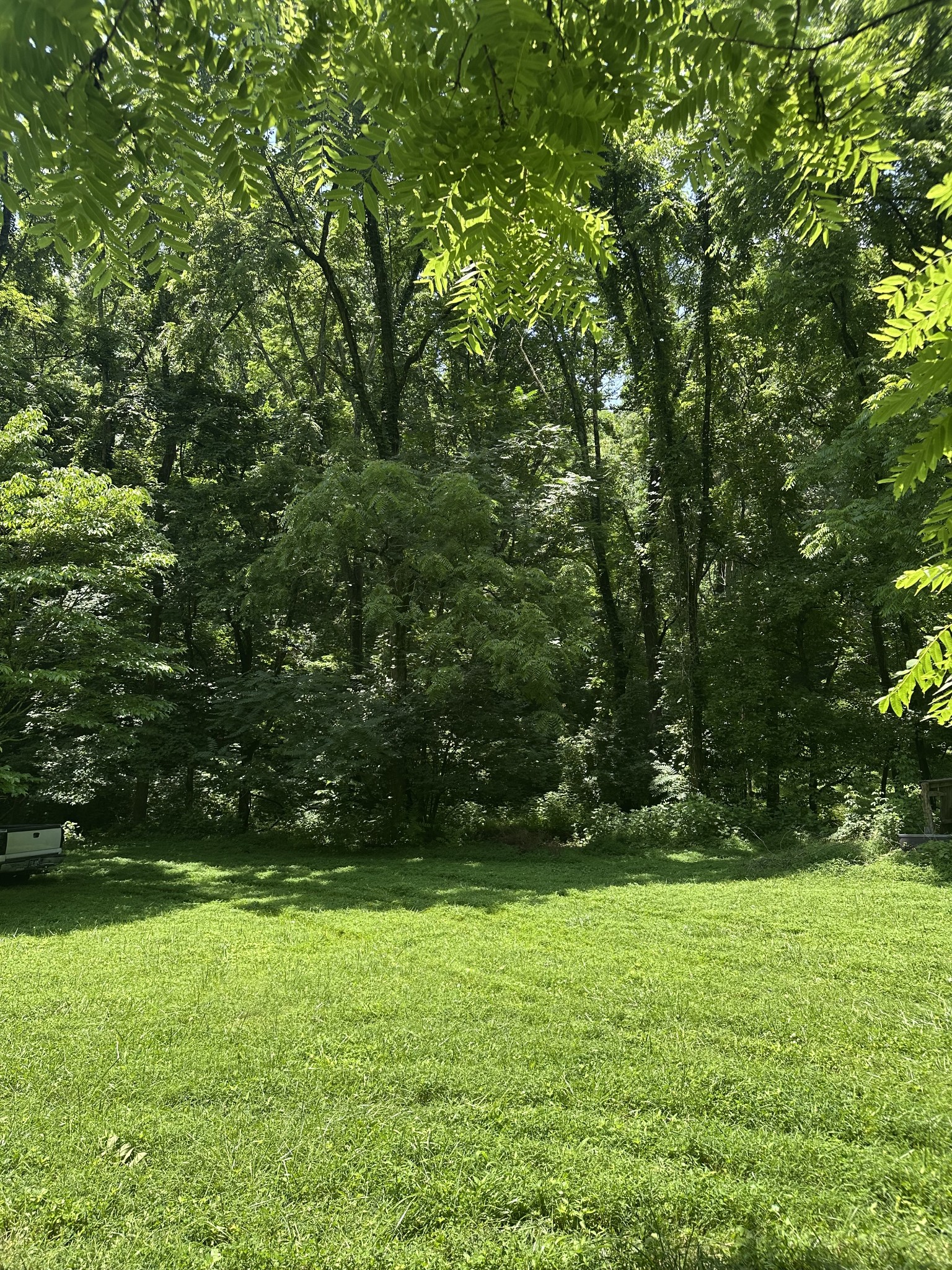 220 Hurt Road Hendersonville, TN 37075 - Photo 2 of 4 Gallery Image 2