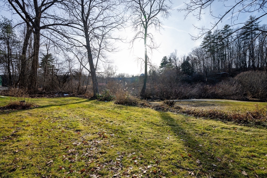 7 Depot Road Williamsburg, MA 01039 - Photo 5 of 29 a view of a backyard with large trees