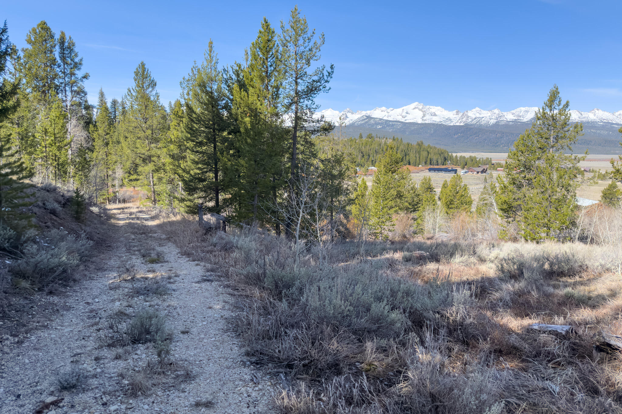 Tbd Fisher Creek Road Stanley, ID 83278 - Photo 29 of 37 Fisher Creek Rd 19 Acre Parcel - 8