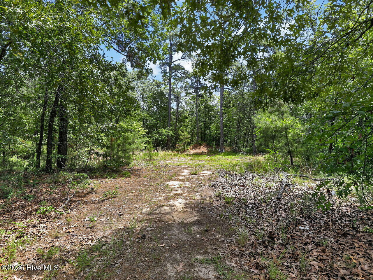 1030 Stubby Oaks Road Aberdeen, NC 28315 - Photo 32 of 49