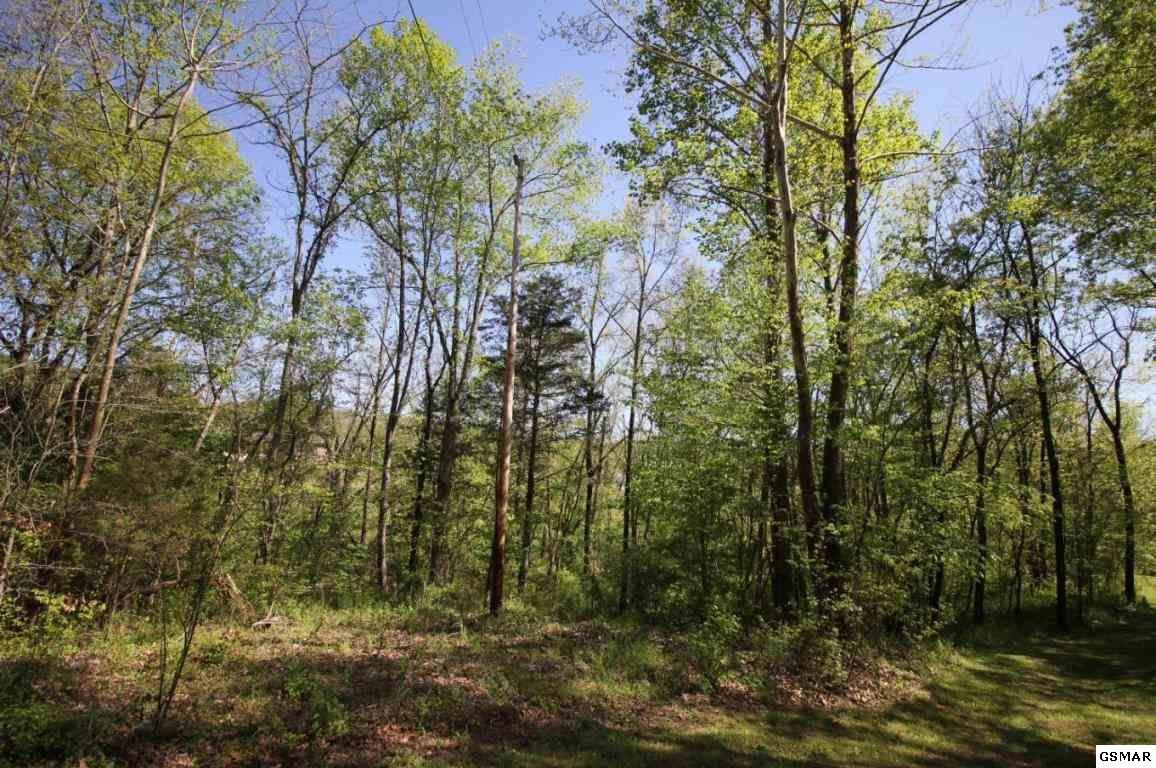 0 Sandy Point Lane Sevierville, TN 37876 - Photo 1 of 6 Gallery Image 1