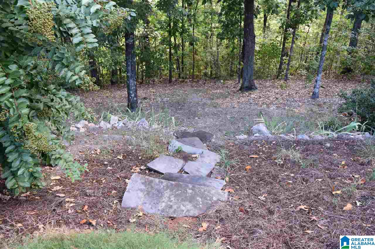5603 Summit Pointe Pinson, AL 35126 - Photo 6 of 50
