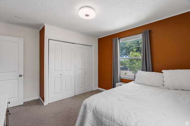 961 33rd Street Ogden, UT 84403 - Photo 15 of 39 Wall-to-wall carpeting in a neutral tone, featuring a window with a treed backdrop