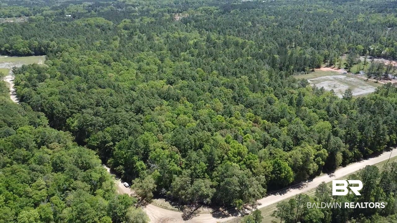 0 I-65 Service Road Creola, AL 36525 - Photo 13 of 20 Aerial view featuring a forest view